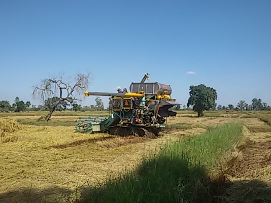 ขายรถเกี่ยวบางไทร เครื่อง เจ215 ตัวเดิน12ปั๊ม22