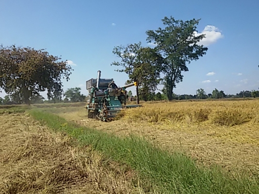 ขายรถเกี่ยวบางไทร เครื่อง เจ215 ตัวเดิน12ปั๊ม22