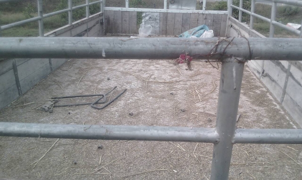 ขายกะบะคาโก้ ของใหม่ยกลงจาก อีซุซุ NPR150 ช่วงยาว 4.30ม สภาพดีสวยของใหม่ พึ่งยกลง ราคา 29,000บ ครับ