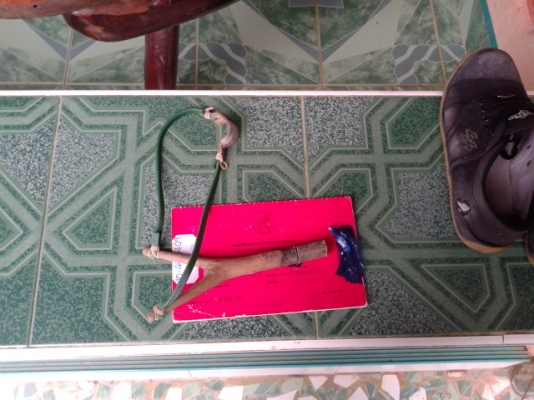 หกล้อดั้ม อีโน่  150 แรงม้า (รถห้างแท้) ปี 49 พร้อมใช้งาน เล่มติดมือ.. เจ้าของฝากขาย