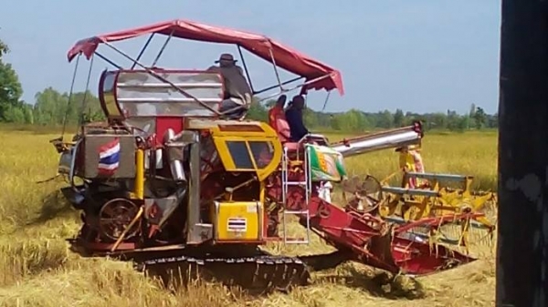 ขายรถเกี่ยวข้าว เกษตรพัฒนา รุ่นช้างน้อย จ้าวพลัง ปี54 อุ้ม1.5ตัน เครื่องHO6Cเทอร์โบ 210แรง ตัวเดิน10 ปั้ม22ไดกิ้น สภาพพร้อมใช้งาน สนใจโทร 090-8588220คุณนะ 093-3258446คุณบิว หรือเข้าดูสินค้าอื่นๆได้ที่ www.truck.in.th/498 หรือเพจFacebook ณรงค์ ซื้อขายรถมือ