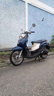 Fino รถบ้านแท้ๆ  โอนได้ทันที ชุดสีสด ภาษีพรบครบ