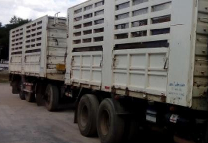 **1,890,000 บ.ต่อรอง/// 10ล้อพ่วง HINO MEGA Series-500 380 ยูโร3 ปี52 แม่+ลูก กระบะเหล็กเกษตร ล่อง/ไม่ดั้ม **ขาย HINO MEGA FM-380 S-500 เบรคน้ำมัน 22ล้อ พ่วงแม่+ลูก ล่อง/ไม่ดั้ม กระบะเหล็กคอกเกษตร สามมิตรฯ สภาพพร้อมใช้งาน มี3พ่วง สภาพเดียวกัน HINO MEGA Se