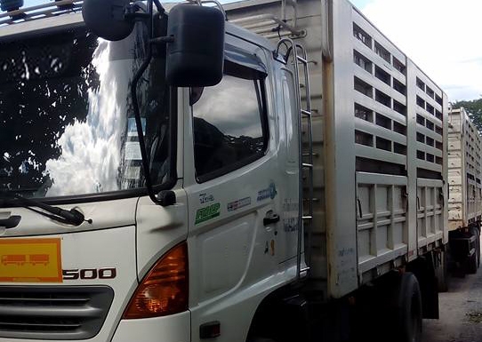 **1,890,000 บ.ต่อรอง/// 10ล้อพ่วง HINO MEGA Series-500 380 ยูโร3 ปี52 แม่+ลูก กระบะเหล็กเกษตร ล่อง/ไม่ดั้ม **ขาย HINO MEGA FM-380 S-500 เบรคน้ำมัน 22ล้อ พ่วงแม่+ลูก ล่อง/ไม่ดั้ม กระบะเหล็กคอกเกษตร สามมิตรฯ สภาพพร้อมใช้งาน มี3พ่วง สภาพเดียวกัน HINO MEGA Se
