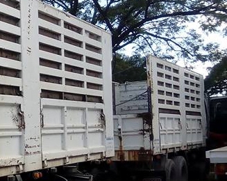 **1,890,000 บ.ต่อรอง/// 10ล้อพ่วง HINO MEGA Series-500 380 ยูโร3 ปี52 แม่+ลูก กระบะเหล็กเกษตร ล่อง/ไม่ดั้ม **ขาย HINO MEGA FM-380 S-500 เบรคน้ำมัน 22ล้อ พ่วงแม่+ลูก ล่อง/ไม่ดั้ม กระบะเหล็กคอกเกษตร สามมิตรฯ สภาพพร้อมใช้งาน มี3พ่วง สภาพเดียวกัน HINO MEGA Se