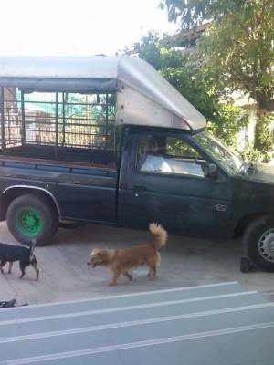 ขายกระบะ ขายกระบะ