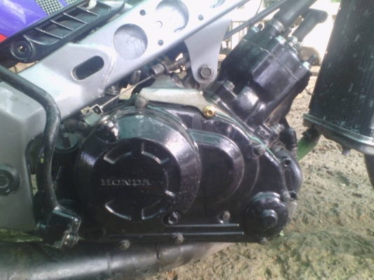 น้องฝากขาย เเดชตัวเก่าเครื่องทำเเรงเเล้ว มีเล่มทะเบียน ไม่มีชุดโอน ค่าตัว 6900 บาท