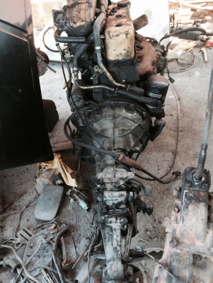 อีซูซุ TFR มักกรทอง เครื่องติดแน่น มีเอกสาร อีซูซุ TFR มักกรทอง เครื่องติดแน่น มีเอกสาร