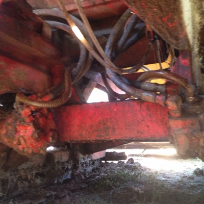 ขาย ไทยเส็งมดตะนอย