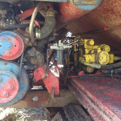 ขาย ไทยเส็งมดตะนอย