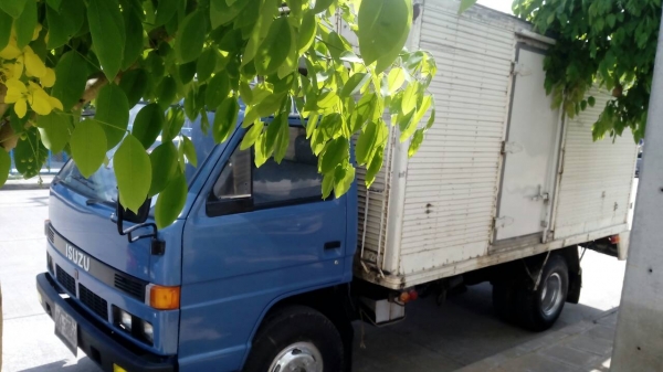 หกล้อ อีซูซุ NPR115 เกียร์สั่น สั่งลุย บรรทุกตู้เย็น ยาว4.50ม สภาพพร้อมใช้งาน ทะเบียนพร้อมโอน หกล้อ อีซูซุ NPR115 เกียร์สั่น สั่งลุย บรรทุกตู้เย็น ยาว4.50ม สภาพพร้อมใช้งาน ทะเบียนพร้อมโอน