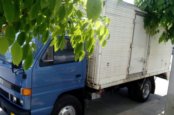 หกล้อ อีซูซุ NPR115 เกียร์สั่น สั่งลุย บรรทุกตู้เย็น ยาว4.50ม สภาพพร้อมใช้งาน ทะเบียนพร้อมโอน หกล้อ อีซูซุ NPR115 เกียร์สั่น สั่งลุย บรรทุกตู้เย็น ยาว4.50ม สภาพพร้อมใช้งาน ทะเบียนพร้อมโอน