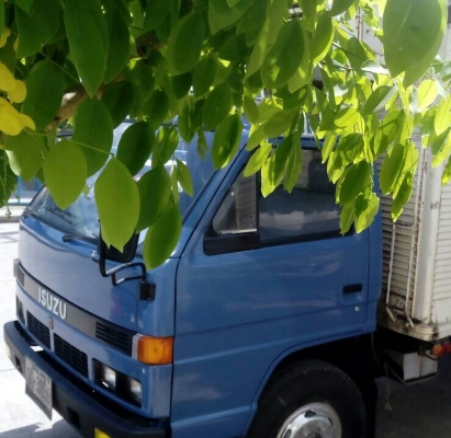 หกล้อ อีซูซุ NPR115 เกียร์สั่น สั่งลุย บรรทุกตู้เย็น ยาว4.50ม สภาพพร้อมใช้งาน ทะเบียนพร้อมโอน หกล้อ อีซูซุ NPR115 เกียร์สั่น สั่งลุย บรรทุกตู้เย็น ยาว4.50ม สภาพพร้อมใช้งาน ทะเบียนพร้อมโอน