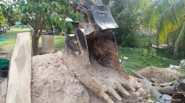 แบคโฮ KOBELCO SK03-N2 (เท่าPC60) เอกสารอินวอย **ขาย KOBELCO SK03 แบคโฮขนาดเทียบเท่าPC60 สภาพดี ราคาเบา เอกสารอินวอย HYD.EXCAVATOR KOBELCO SK03 (PC60) วางเครื่อง ISUZU 4BB1 ฝาขาว 4สูบ ปั้มเดิม เครื่องดี แน่น แห้ง แรงดีครับ ปั้มดี แรง