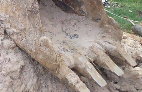 แบคโฮ KOBELCO SK03-N2 (เท่าPC60) เอกสารอินวอย **ขาย KOBELCO SK03 แบคโฮขนาดเทียบเท่าPC60 สภาพดี ราคาเบา เอกสารอินวอย HYD.EXCAVATOR KOBELCO SK03 (PC60) วางเครื่อง ISUZU 4BB1 ฝาขาว 4สูบ ปั้มเดิม เครื่องดี แน่น แห้ง แรงดีครับ ปั้มดี แรง