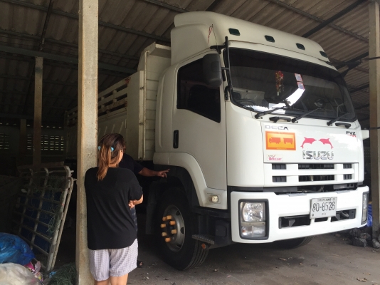 Isuzu 300 ปี ติดต่อ 080-1405528