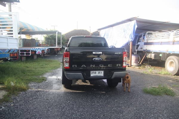 FORD 2.2 6 speed ปี 2013 ภานนอกเดิมสนิท ไม่เคยทำสี รถวิ่ง 80,000 ใช้งานปกติไม่มีปัญหา FORD 2.2 6 speed ปี 2013 ภานนอกเดิมสนิท ไม่เคยทำสี รถวิ่ง 80,000 ใช้งานปกติไม่มีปัญหา