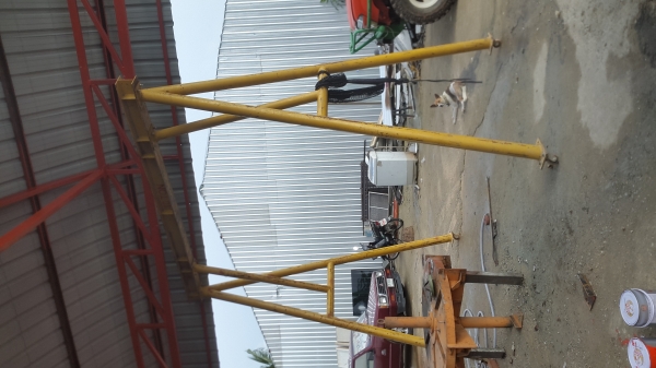 ขายขาลอ๊กขนาน 10 ต้น ขายขาลอ๊กขนาน 10 ต้น