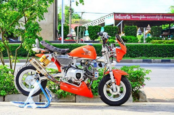 โปรโมชั่น ลดราคามังกี้ กอลิล่า มีให้เลือกหลาก หลายแบบ ไม่ซ้ำ ขับสนุก ขับมัน ทนทาน  เริ่มต้น2XXXX