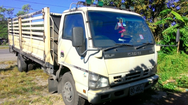 รถบรรทุก 6 ล้อ ISUZU NQR 145 แรง EURO-2