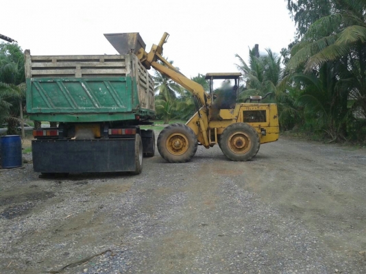 รถตัก TCM - 250.    สนใจติดต่อ  081 - 6079515