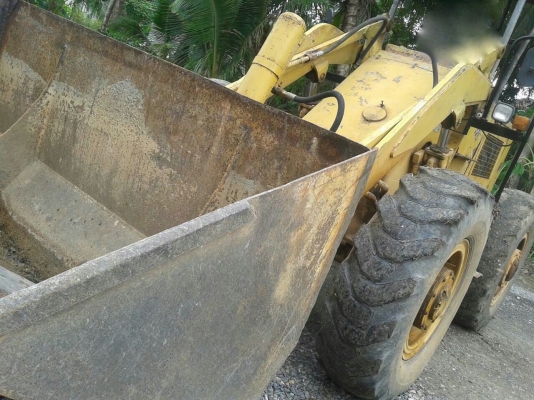 รถตัก TCM - 250.    สนใจติดต่อ  081 - 6079515