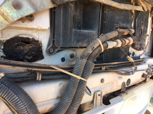 สิบล้อ อีซูชุ 270ยูโร ปี44 ดั้ม 2เพา มีระบบลากจูง สภาพดีสวยบางเดิมพร้อมใช้ เล่มทะเบียนพร้อมโอน (รถห้างแท้) ครับท่าน สิบล้อ อีซูชุ 270ยูโร ปี44 ดั้ม 2เพา มีระบบลากจูง สภาพดีสวยบางเดิมพร้อมใช้ เล่มทะเบียนพร้อมโอน (รถห้างแท้) ครับท่าน