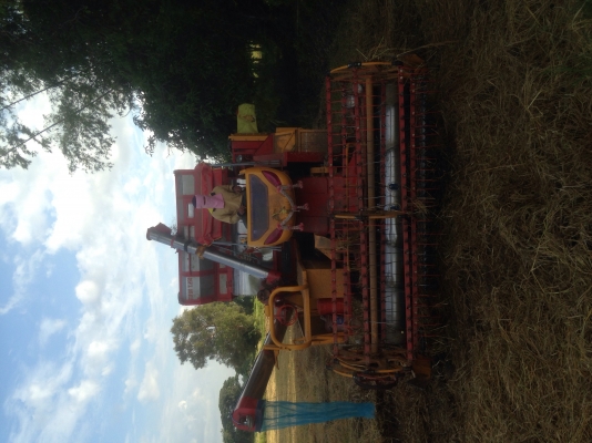 ขายรถเกี่ยวสตาร์บิก49