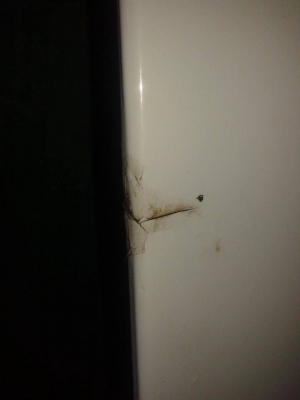 ขายฝากระโปรงดัทสัน 620สีขาว