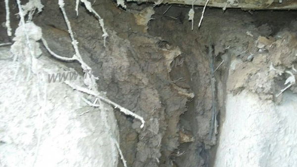 รถแบคโฮ HITACHI EX 200 สภาพพร้อมใช้งาน