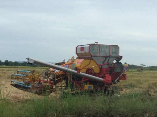 ขายดาวน์รถเกี่ยวข้าว ไอ้หนุ่ม(ปลดหนี้) ปี56