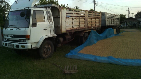 ขายรถพ่วง ISUZU FVZ175 วางเครื่อง 6bg3 turbo inter - 230 แรง 2 เพลา เบรคจิฟฟี่ กระบะดัมพ์พนัส ลูก 2 เพลา