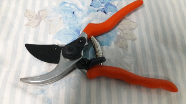 ขายกรรไกรตัดกิ่งไม้ตราตา Germany.ใบมีดคมกริบเปลี่ยนใบได้