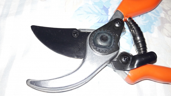 ขายกรรไกรตัดกิ่งไม้ตราตา Germany.ใบมีดคมกริบเปลี่ยนใบได้
