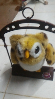 นกฮูกขยับและพูดได้ TALKING  OWL น่ารักสวยงาม ของใหม่ในกล่อง