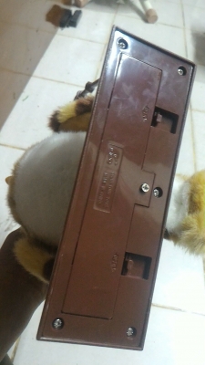 นกฮูกขยับและพูดได้ TALKING  OWL น่ารักสวยงาม ของใหม่ในกล่อง