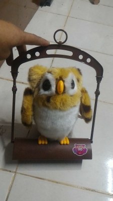 นกฮูกขยับและพูดได้ TALKING  OWL น่ารักสวยงาม ของใหม่ในกล่อง