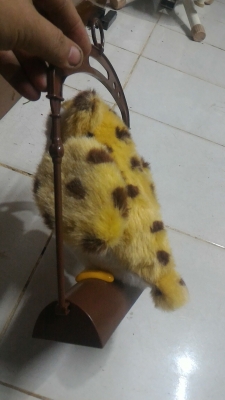 นกฮูกขยับและพูดได้ TALKING  OWL น่ารักสวยงาม ของใหม่ในกล่อง