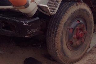 6ล้อดั้มดิน5คิว ISUZU ROCKY FRR-175 **ขาย ISUZU ROCKY-175 6ล้อดั้มดิน5คิว ยาง8 ราคาเบาๆ ISUZU ROCKY FRR12DA 6BG1-175HP ฝาดำ เครื่องเดิม เกียร์เดิม เครื่องดี แน่น แรงดีครับฟิตใหม่ พึ่งเปลี่ยนแหวนใหม่ เกียร์ดี ไม่หลุด ช่วงล่างใหญ่ Fหน้ 6ล้อดั้มดิน5คิว ISUZU ROCKY FRR-175 **ขาย ISUZU ROCKY-175 6ล้อดั้มดิน5คิว ยาง8 ราคาเบาๆ ISUZU ROCKY FRR12DA 6BG1-175HP ฝาดำ เครื่องเดิม เกียร์เดิม เครื่องดี แน่น แรงดีครับฟิตใหม่ พึ่งเปลี่ยนแหวนใหม่ เกียร์ดี ไม่หลุด ช่วงล่างใหญ่ Fหน้