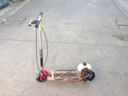 **** ขาย โกเป็ด ของUSA ****