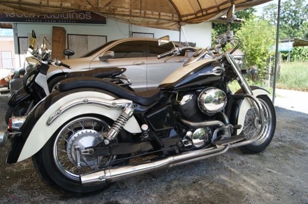 ขายชาโดวปี98แต่งเต้มสรรพสามิตรแท้