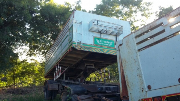 ขายนางฟ้า240แม่-ลูก 1280000 ขายนางฟ้า240แม่-ลูก 1280000