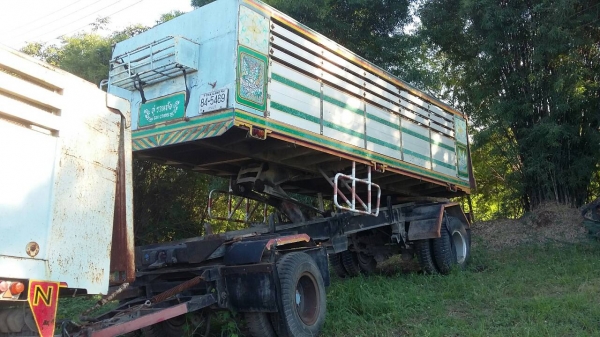 ขายนางฟ้า240แม่-ลูก 1280000 ขายนางฟ้า240แม่-ลูก 1280000