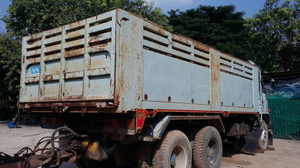 ขายนางฟ้า240แม่-ลูก 1280000 ขายนางฟ้า240แม่-ลูก 1280000