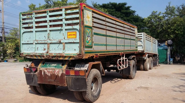 ขายนางฟ้า240แม่-ลูก 1280000 ขายนางฟ้า240แม่-ลูก 1280000