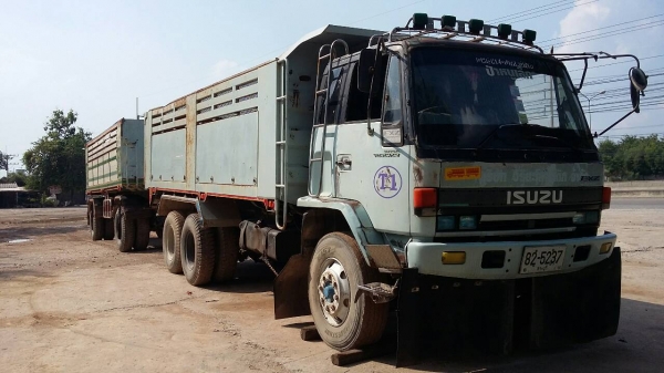 ขายนางฟ้า240แม่-ลูก 1280000 ขายนางฟ้า240แม่-ลูก 1280000