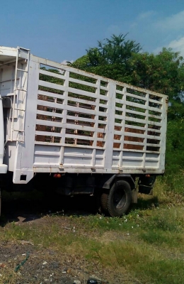 หกล้อ มิตซุ FK 455E-6D14-165 พาเวอร์ ช่วงยาว5.20ม ช่วงล่างใหญ่ สวยบางเดิมพร้อมใช้ ทะเบียนพร้อมโอน หกล้อ มิตซุ FK 455E-6D14-165 พาเวอร์ ช่วงยาว5.20ม ช่วงล่างใหญ่ สวยบางเดิมพร้อมใช้ ทะเบียนพร้อมโอน