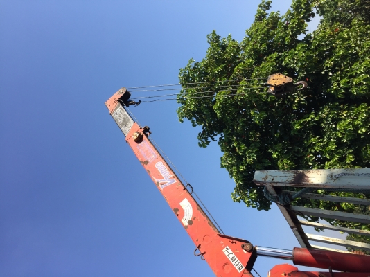 เครน. UNIC 2,8