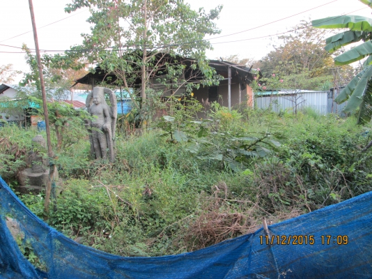 ให้เช่าที่ดิน 100ตารางวา ถนนพุทธมณฑลสาย2 ราคาถูกๆ ให้เช่าที่ดิน 100ตารางวา ถนนพุทธมณฑลสาย2 ราคาถูกๆ