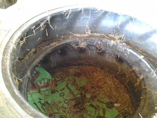 ขายตามสภาพยางรถไถคูโบต้า50แรง1คู่ ขายตามสภาพยางรถไถคูโบต้า50แรง1คู่